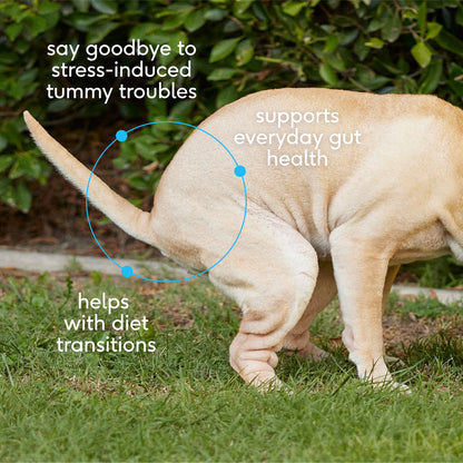 Ravis diamond slipper